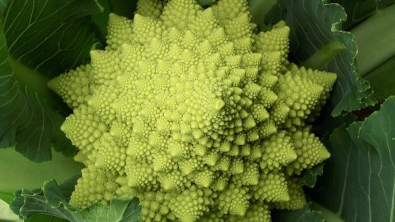 野菜名前